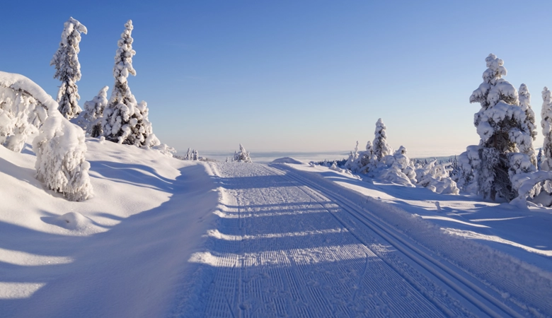 Norefjel in Noorwegen. © Nordic