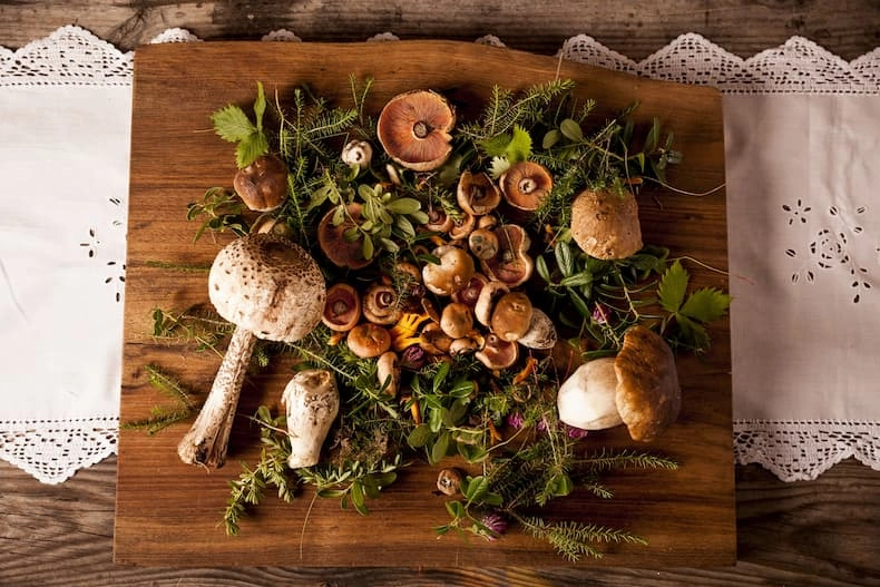 Ingrediënten uit het bos vormen voor chefkok Barbara Untermarzoner een onuitputtelijke bron van culinaire inspiratie. © Armin Huber / Hotel Tann