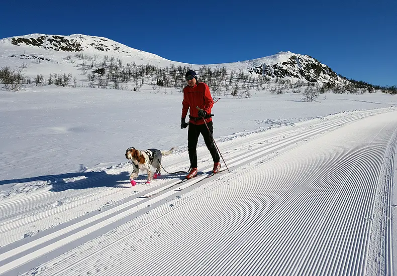 Langlaufen in Beitostolen. © Nico van Dijk / Skigebiedengids.nl