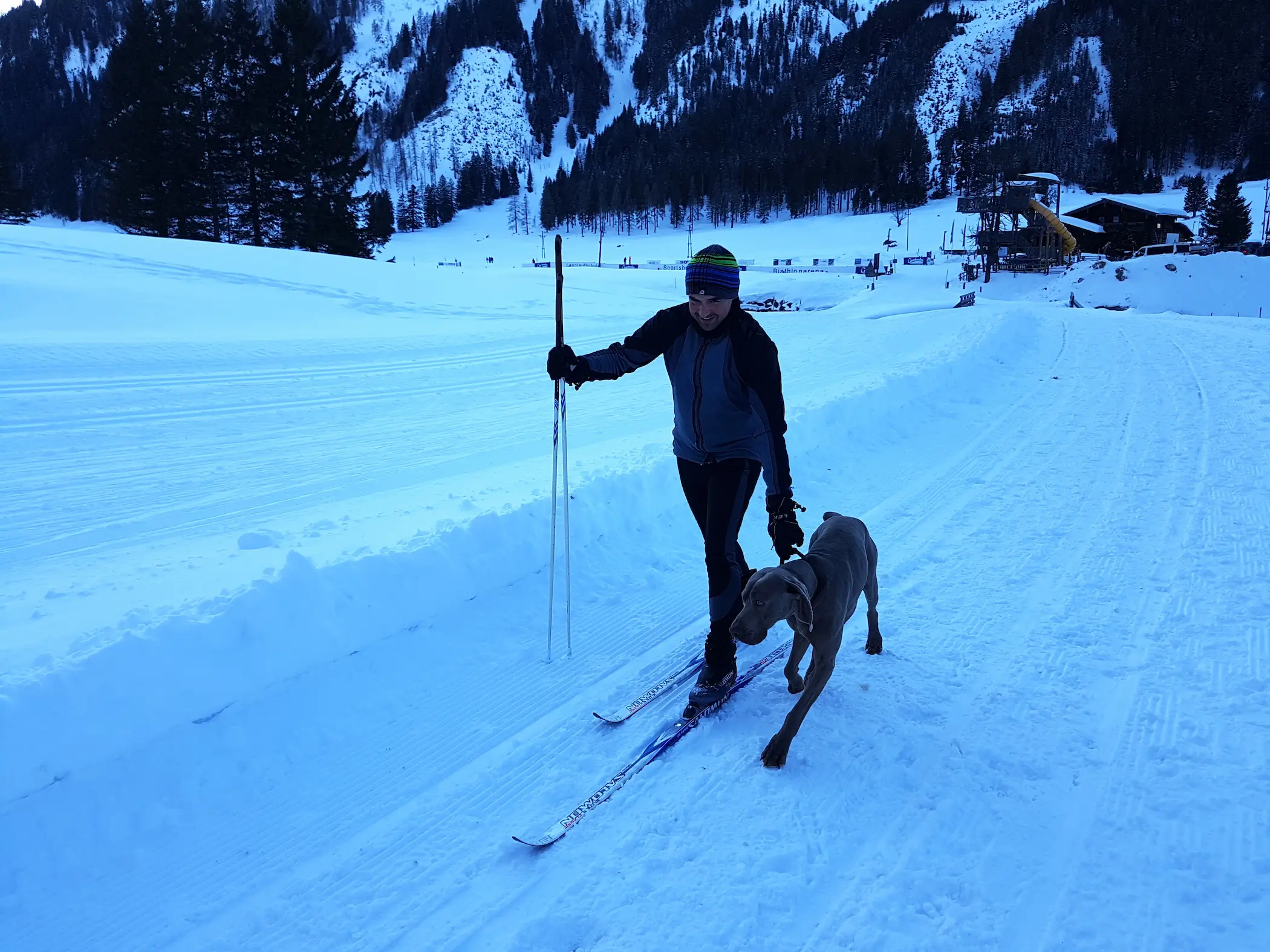 Neem je hond mee op wintersport. © SkigebiedenGids.nl