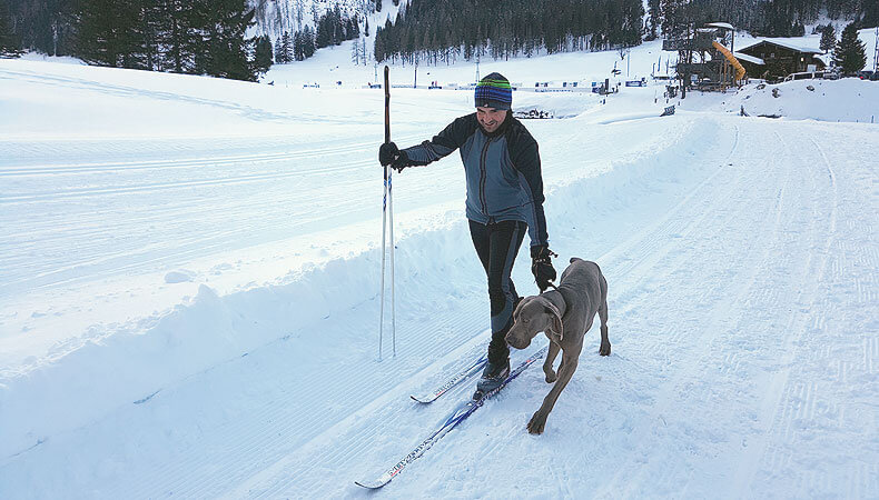 Neem je hond mee op wintersport © SkigebiedenGids.nl
