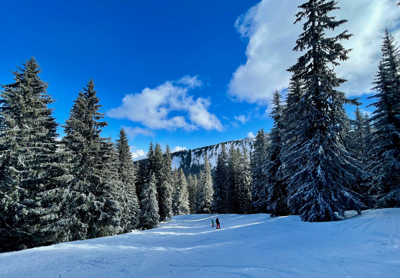 Les Portes du Soleil telt skipistes voor elk type skiër, zoals deze rustige piste bij Chatel. © Reese Braam / Unsplash