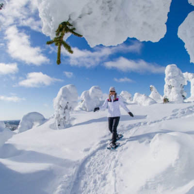 Beleef de winter in Lapland: pakken sneeuw en unieke ervaringen gegarandeerd