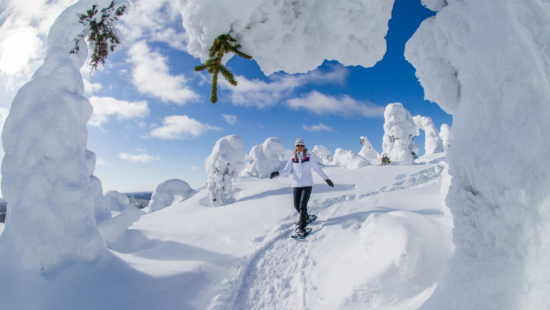 Beleef de winter in Lapland: pakken sneeuw en unieke ervaringen gegarandeerd