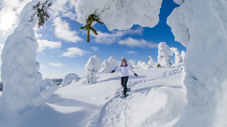 De winter in Lapland biedt gegarandeerd dikke pakken sneeuw, ideaal voor een sneeuwschoenwandeling in Fins Lapland. © Nordic