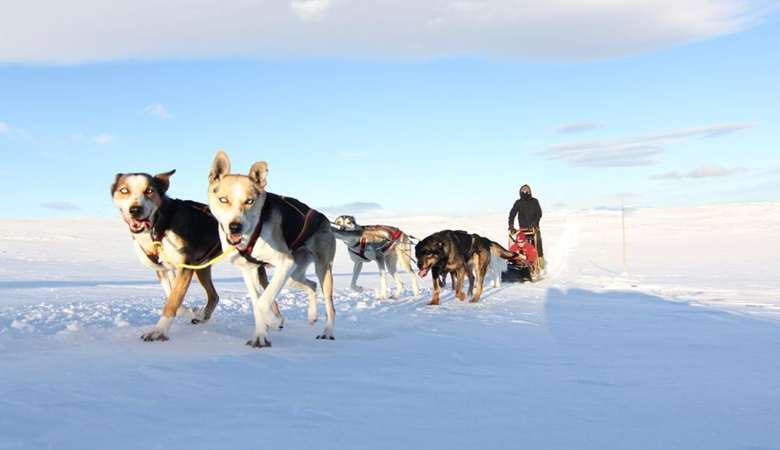 Beleef je wintervakantie in Noorwegen op een andere manier. Ga ijsvissen of maak een tocht met een huskyslee. © Nordic