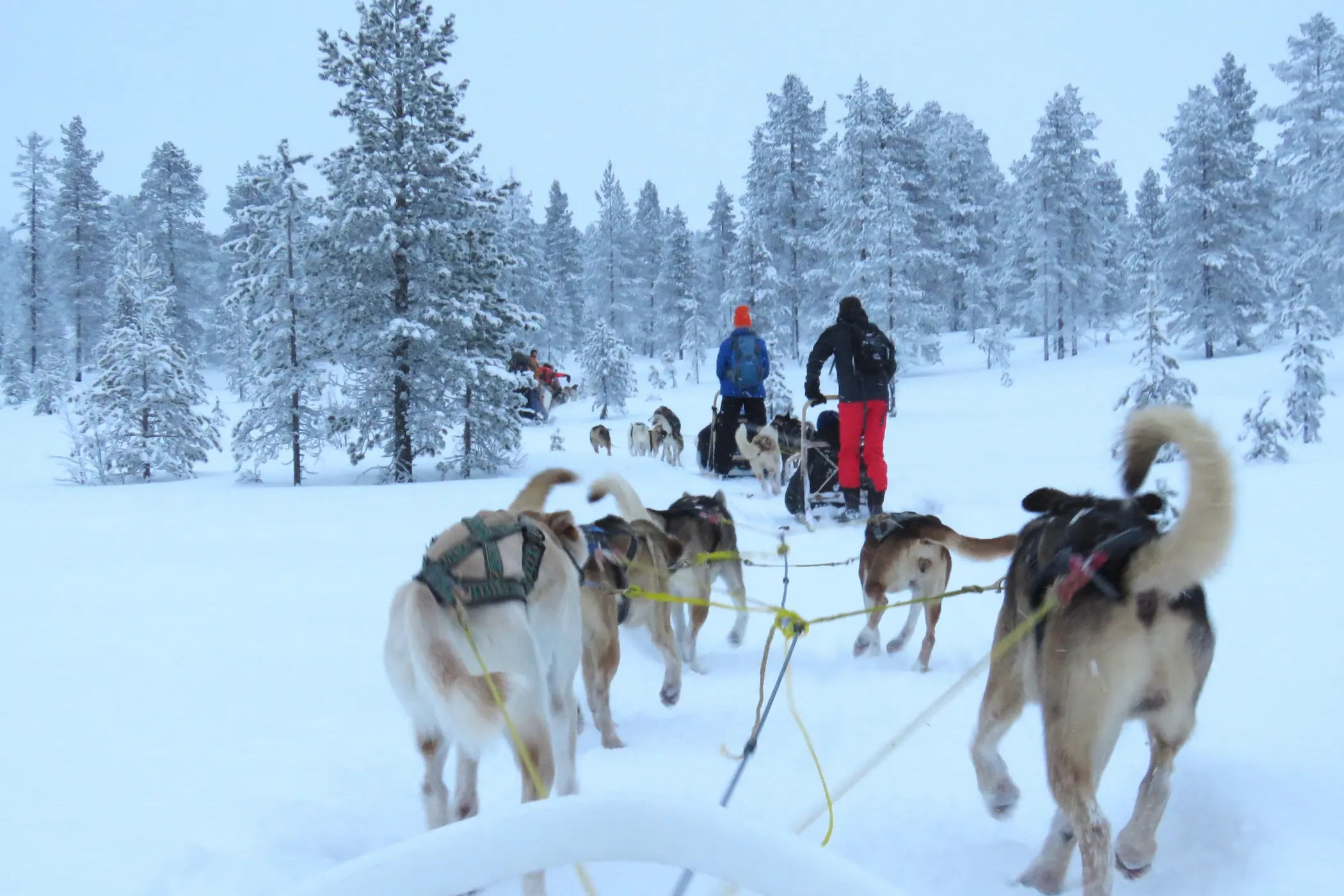 Beleef een bijzondere wintersport in Noorwegen. © SkigebiedenGids.nl