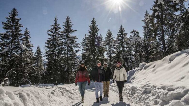 Wintervakantie in Hall-Wattens: weg van de massa genieten van bergen en stadjes