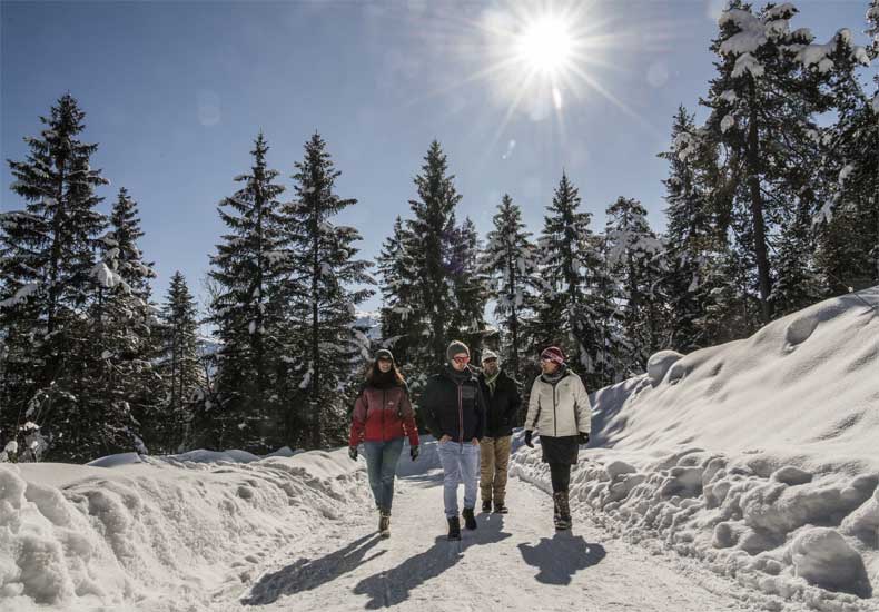 Winterwandelen door de besneeuwde bossen en frisse berglucht opsnuiven. © Tourismusverband Hall-Wattens